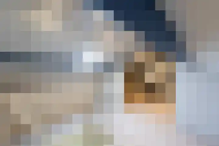 Reelaan 5 Waalre thumbnail 22