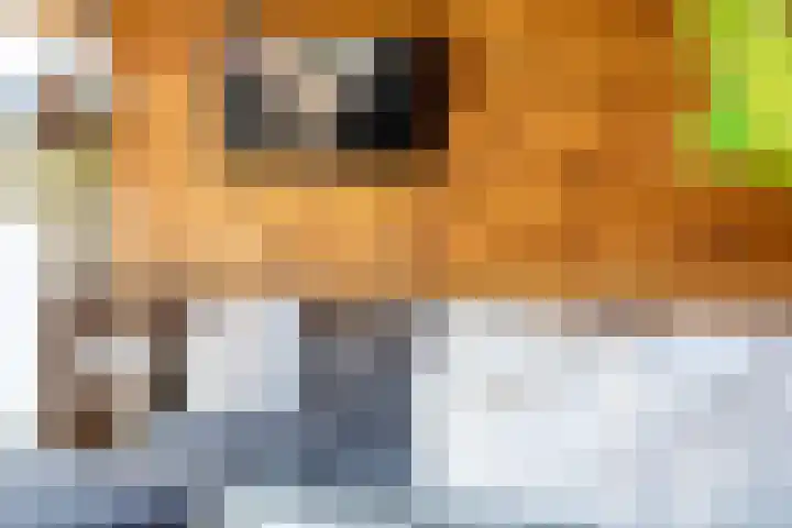 Reelaan 5 Waalre thumbnail 28