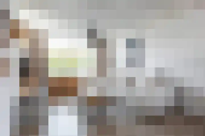 Reelaan 5 Waalre thumbnail 5