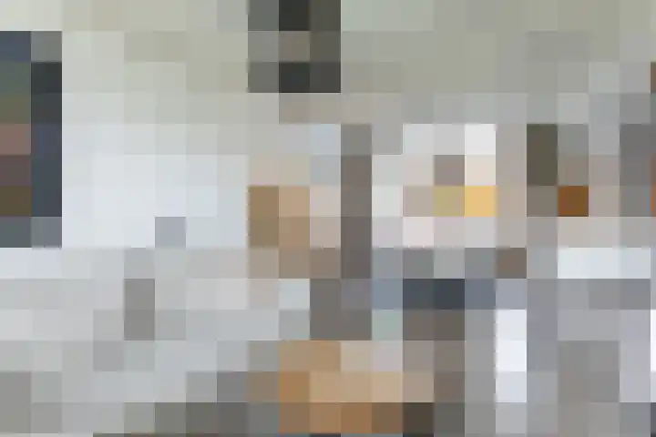 Reelaan 5 Waalre thumbnail 7