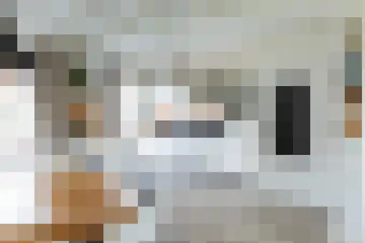 Reelaan 5 Waalre thumbnail 8