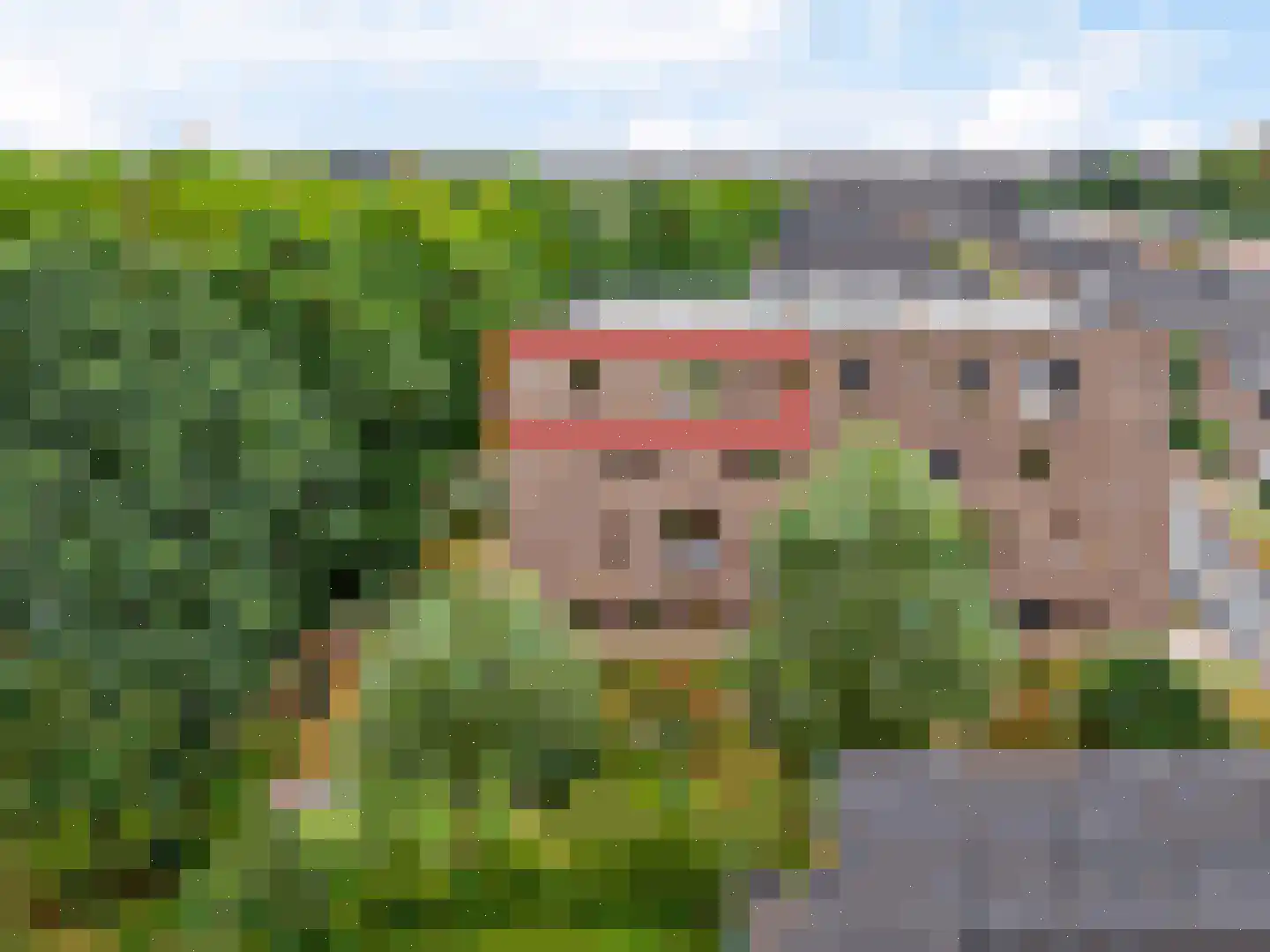 Reelaan 50 Driebergen-Rijsenburg thumbnail 31