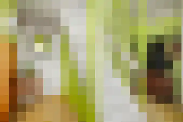 Reelaar 10 Deventer thumbnail 12