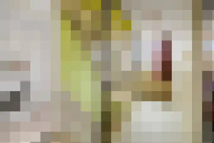 Reelaar 10 Deventer thumbnail 15