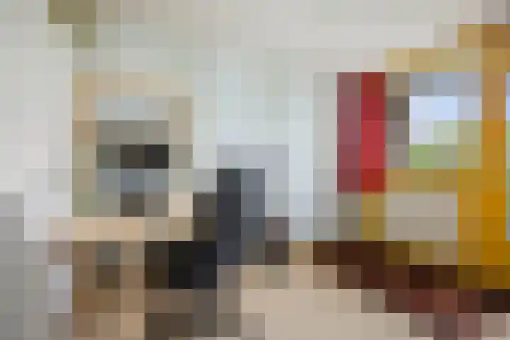 Reelaar 10 Deventer thumbnail 17