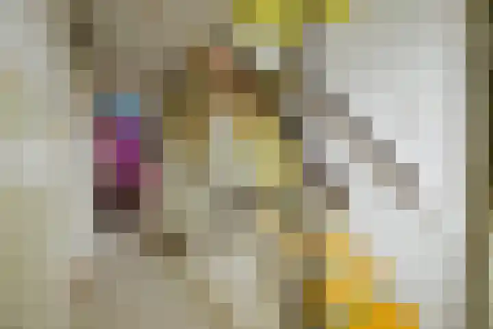 Reelaar 10 Deventer thumbnail 21