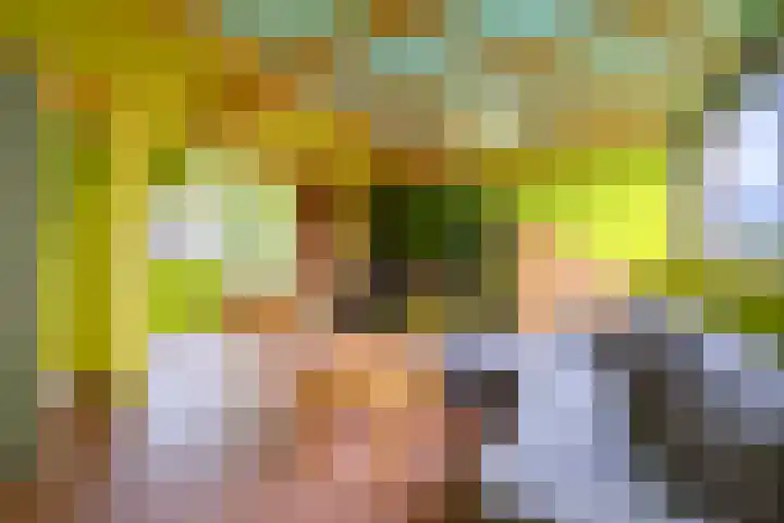 Reelaar 10 Deventer thumbnail 22