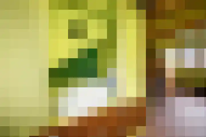 Reelaar 10 Deventer thumbnail 23