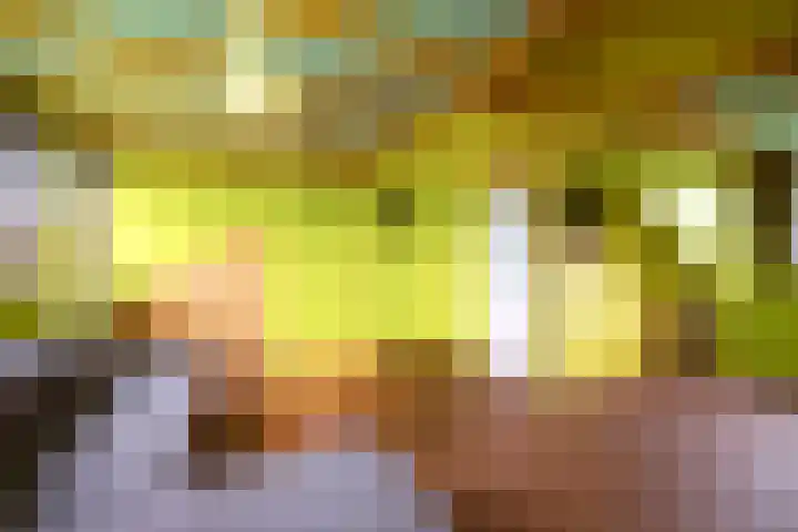 Reelaar 10 Deventer thumbnail 25