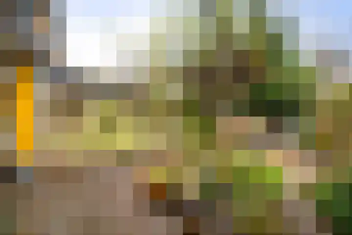 Reelaar 10 Deventer thumbnail 26