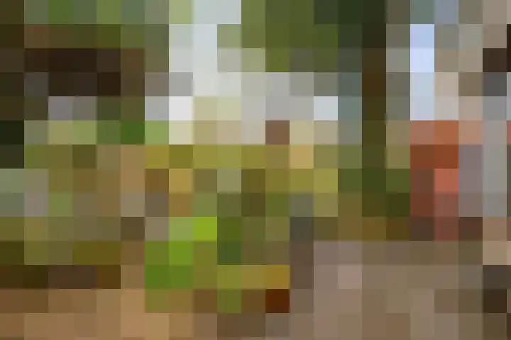Reelaar 10 Deventer thumbnail 27