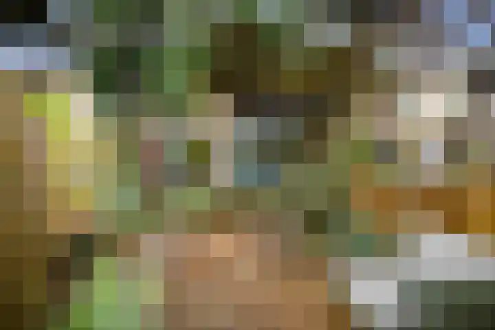 Reelaar 10 Deventer thumbnail 28