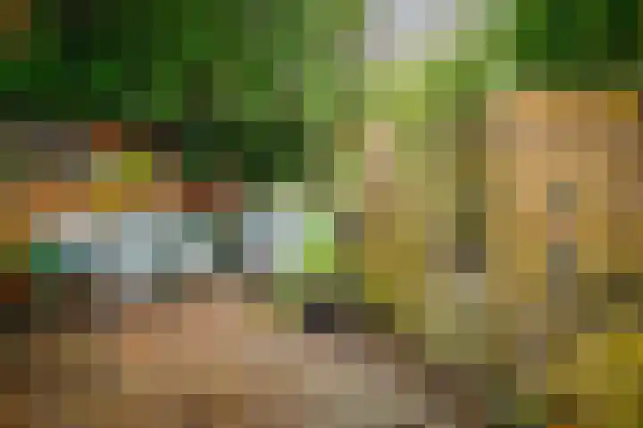 Reelaar 10 Deventer thumbnail 29