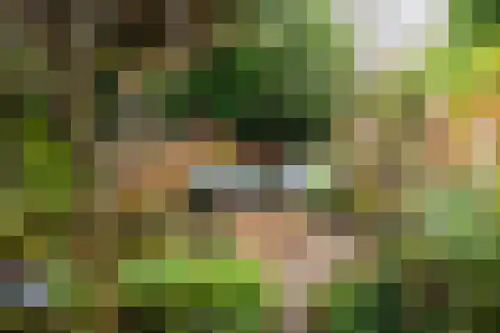 Reelaar 10 Deventer thumbnail 30