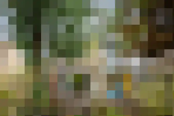 Reelaar 10 Deventer thumbnail 31