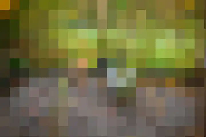 Reelaar 10 Deventer thumbnail 32