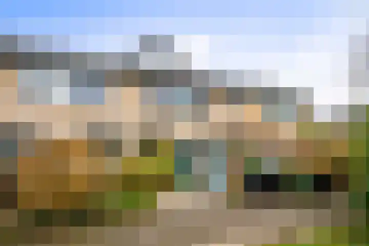 Reelaar 10 Deventer thumbnail 33