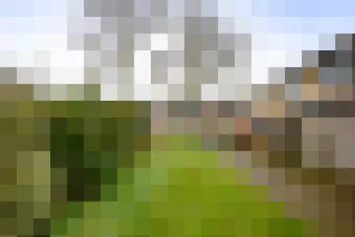 Reelaar 10 Deventer thumbnail 34