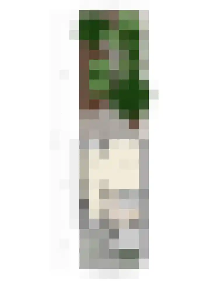 Reelaar 10 Deventer thumbnail 38