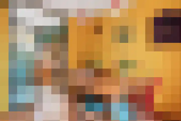 Reelaar 10 Deventer thumbnail 9