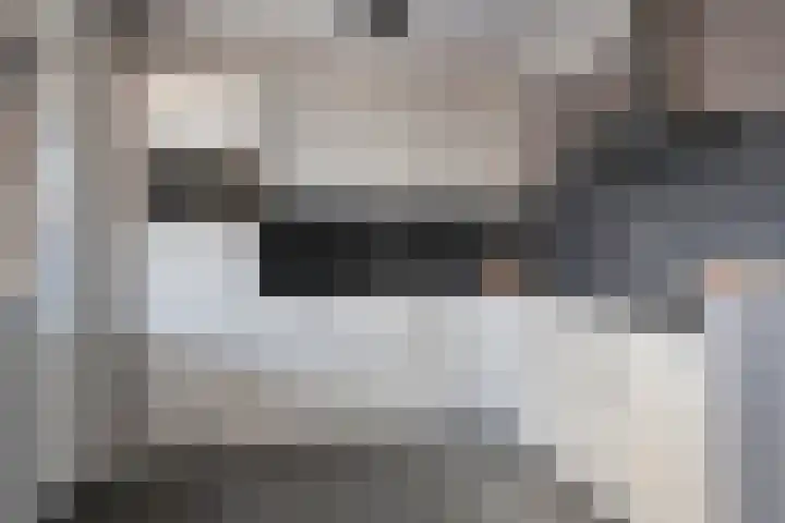 Reeneik 40 Reusel thumbnail 11