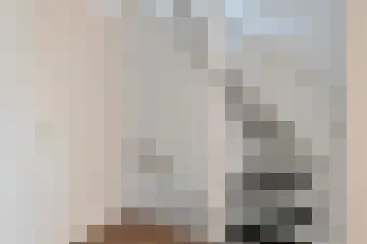 Reeneik 40 Reusel thumbnail 14