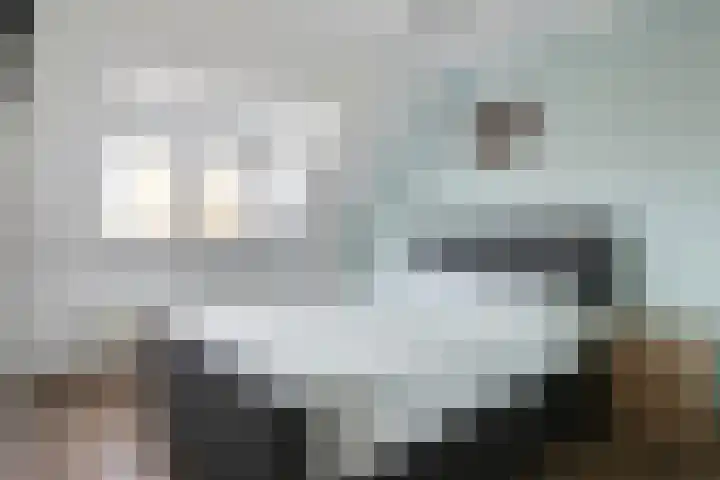 Reeneik 40 Reusel thumbnail 15