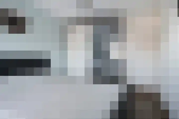 Reeneik 40 Reusel thumbnail 16