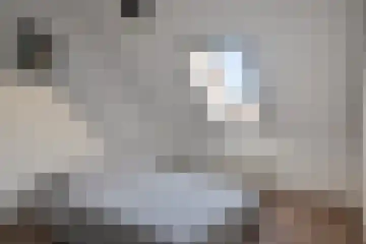 Reeneik 40 Reusel thumbnail 19