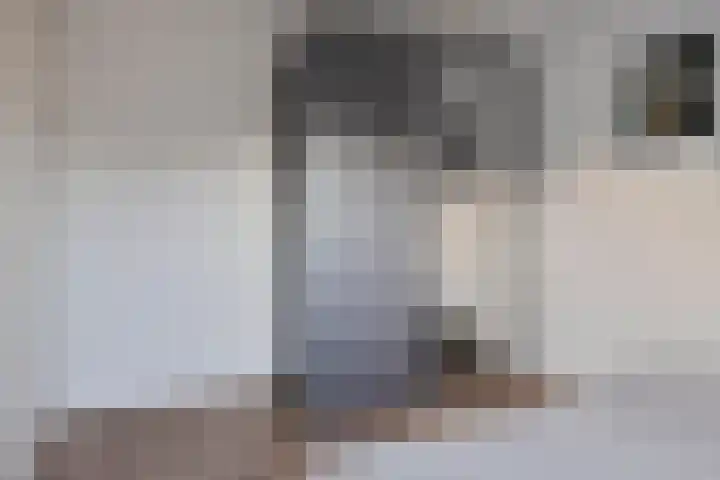 Reeneik 40 Reusel thumbnail 20