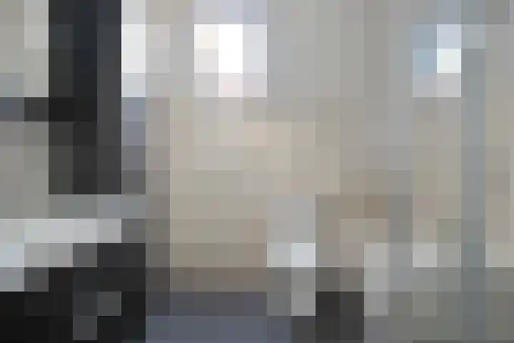 Reeneik 40 Reusel thumbnail 21