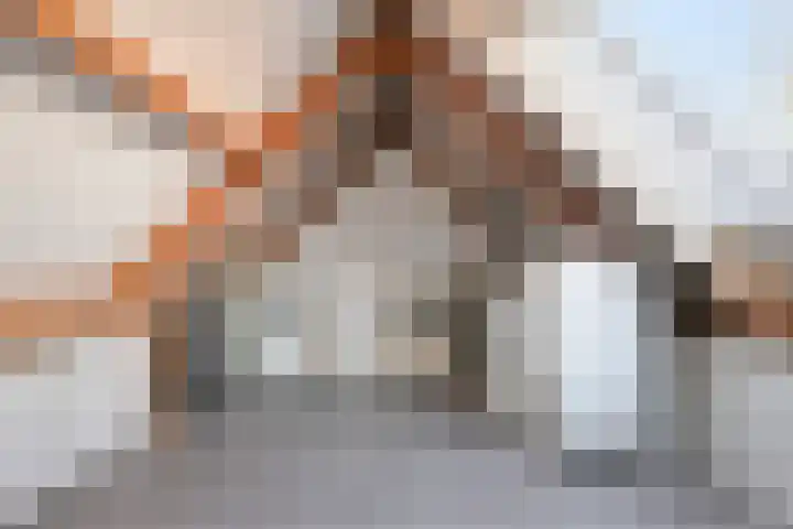 Reeneik 40 Reusel thumbnail 24
