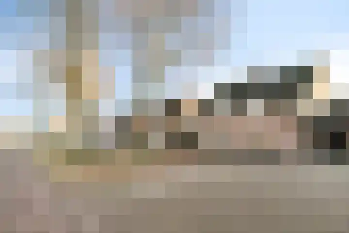 Reeneik 40 Reusel thumbnail 25