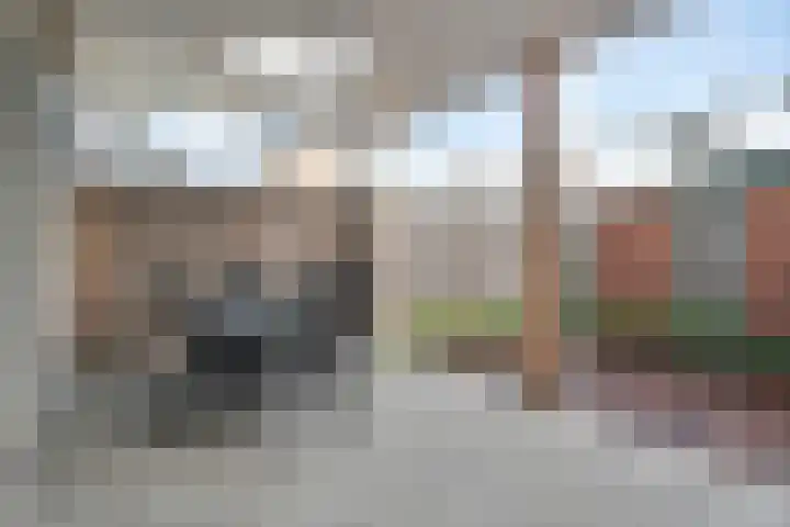 Reeneik 40 Reusel thumbnail 27