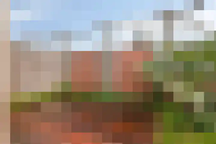 Reeneik 40 Reusel thumbnail 29