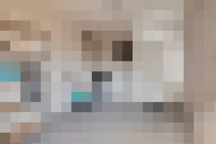 Reeneik 40 Reusel thumbnail 32