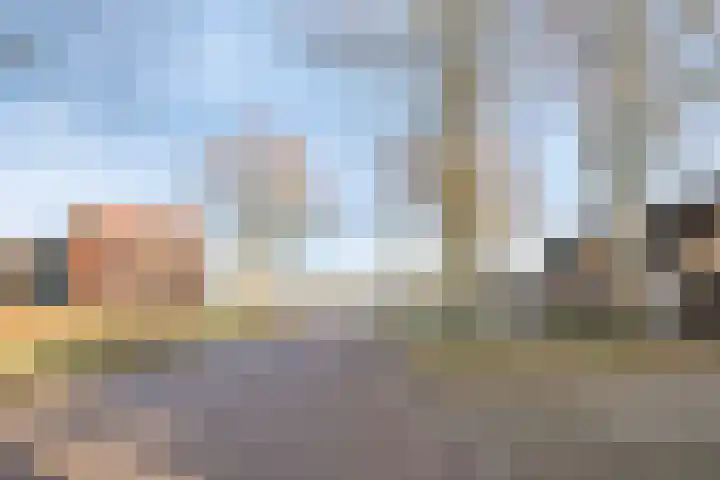 Reeneik 40 Reusel thumbnail 34