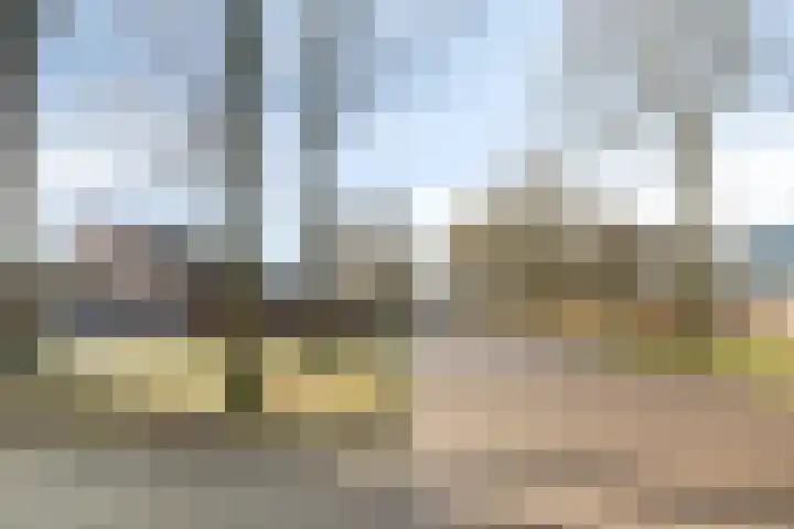 Reeneik 40 Reusel thumbnail 35