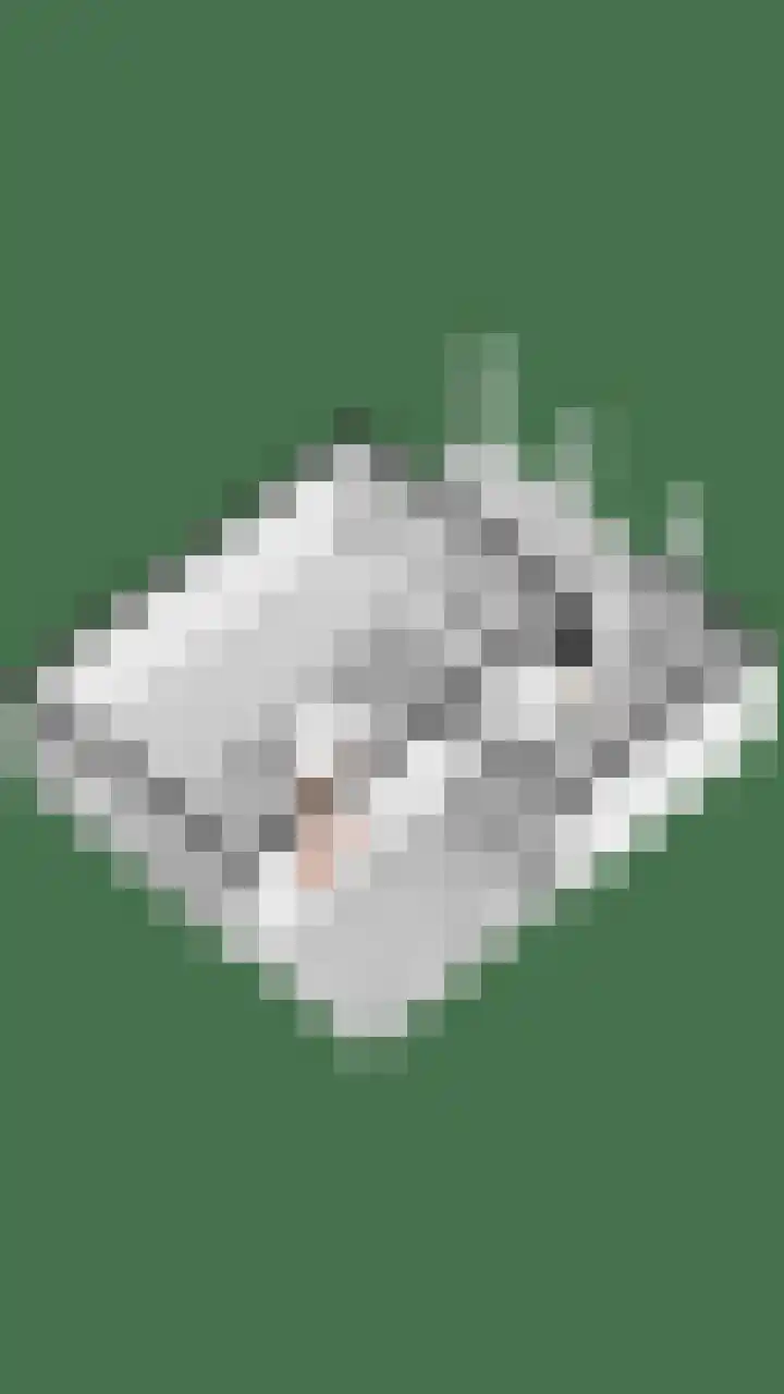 Reeneik 40 Reusel thumbnail 37