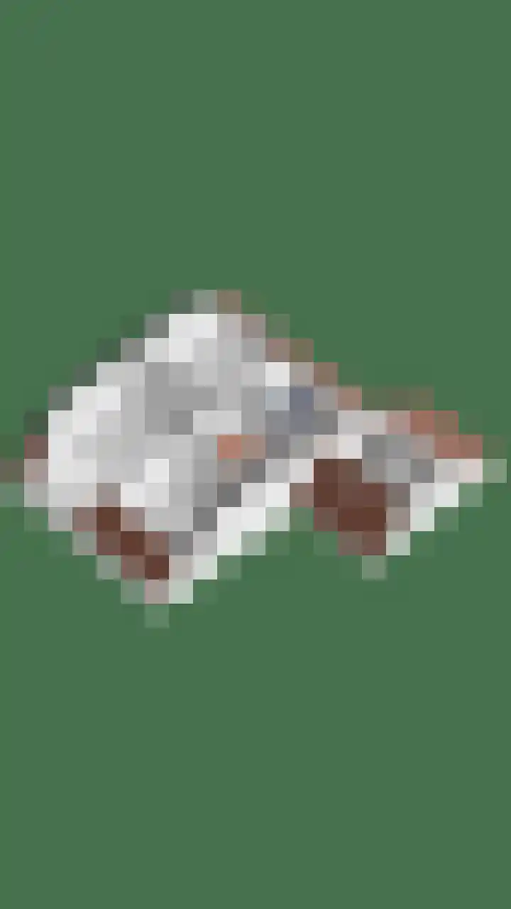 Reeneik 40 Reusel thumbnail 39