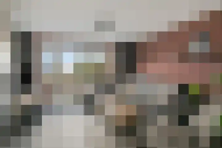 Reeneik 40 Reusel thumbnail 5