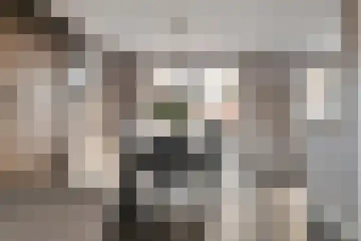 Reeneik 40 Reusel thumbnail 7