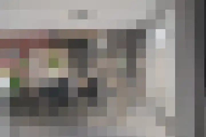 Reeneik 40 Reusel thumbnail 9