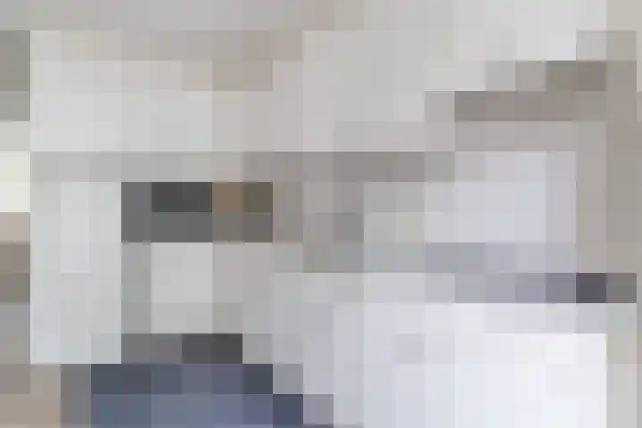 Reeneik 8 Reusel thumbnail 14