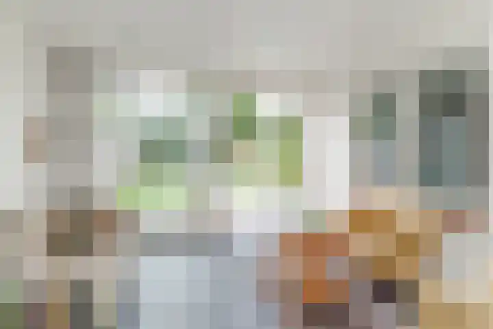 Reeneik 8 Reusel thumbnail 15