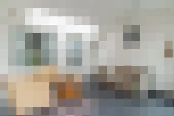 Reeneik 8 Reusel thumbnail 16
