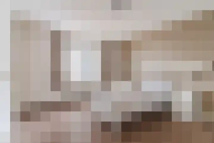Reeneik 8 Reusel thumbnail 18