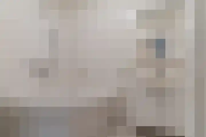 Reeneik 8 Reusel thumbnail 19