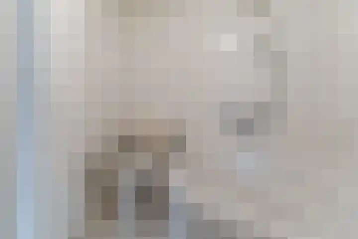 Reeneik 8 Reusel thumbnail 20