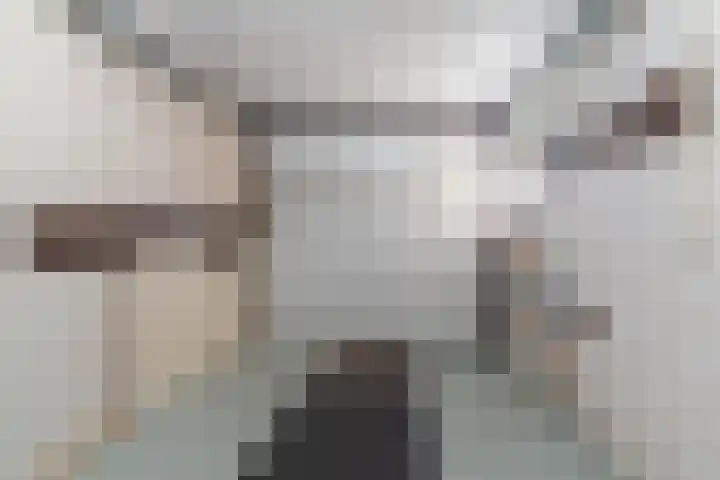 Reeneik 8 Reusel thumbnail 21